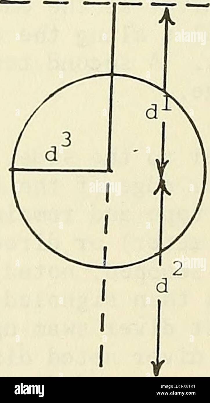 Ökologische Auswirkungen einer künstlichen Ökologische Auswirkungen von eine künstliche Insel, Rincon Insel, Punta Gorda, Kalifornien ecologicaleffect 00 John Jahr: 1978 ITie folgenden Diagramme verdeutlichen die Methodik für die Kartierung des talus Betten verwendet. (1] Linie der gemessenen Abstand (Wasserlinie zu talus - Verkleidung bor der) (d^) und Breite von talus Bed (d^) wurde auf Kartenblatt, Papier (1 cm = 2,4 m) Wasserlinie (2) Die nächste Zeile (Abstand zwischen Verkleidung Messpunkte) wurde dann in Form von Kreis mit, dass der Abstand (D-^) als Radius gezeichnet. Wasserlinie (3) Die Länge der zweite Verkleidung Maßnahmen Stockfoto