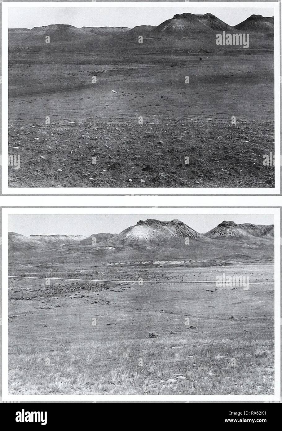 80 Jahre der Vegetation und achtzig Jahre der Vegetation und Landschaft Veränderungen in den nördlichen Great Plains: Eine fotografische eightyyearsofveg 45 klem Jahr: 2001 Originalfoto September 27, 1917. ShantzS -10-1917. Nach Südosten. Erste Wiederholungsprüfung und Beschreibung Juli 5, 1959. W. S. S., 21-30-1959. Das Bild zeigt eine sehr überweidet. Die Gräser, bestehend aus depauperate Bouteloua Pflanzen, Carexfilifolia, und einige Phlox spp. Die wiederholungsprüfung zeigt Ein- Bereich mit einer angemessenen Menge des Bouteloua (v. griech. Aber, Carex Jilifolia ist immer noch reichlich vorhanden, und es gibt einige Stipa Stockfoto