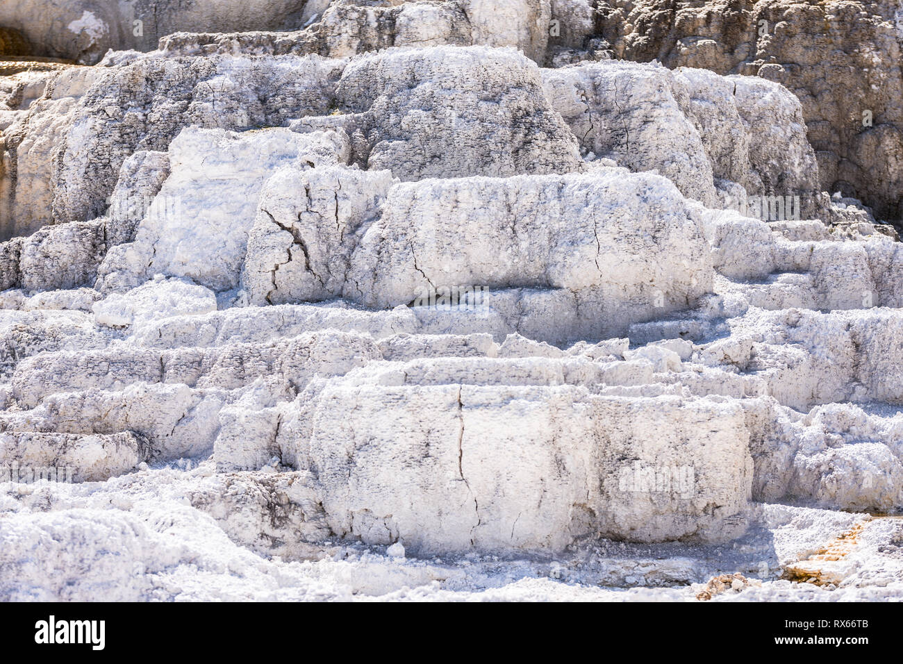 Trockene weiße mineralische Ablagerungen in Mammoth Hot Springs Stockfoto