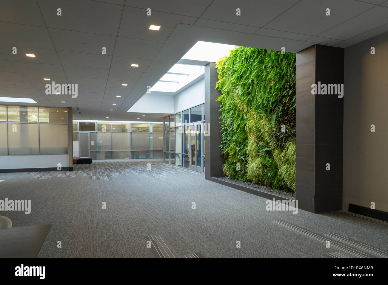 Große, moderne Flur in kommerziellen Bürogebäude Stockfoto