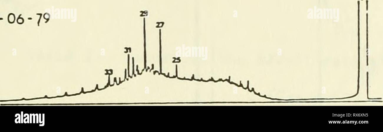 Ökologische Studie der Amoco Ökologische Studie der Amoco Cadiz Ölpest: Bericht des NOAA-CNEXO Gemeinsame wissenschaftliche Kommission ecologicalstudyo 00 noaa Jahr: 1982 22-11-78-^ 20-06-79 17-1-80 29 35." 1. 1 27", ein "V24-S-IO, # IST CG STATION 8 Abbildung 15. Entwicklung der gesättigte Kohlenwasserstoffe. Am 24. Juni 1980 an dieser Station, zeigt eine Verschlechterung (oder Auflösung) der Alkyliert cycloparaffins zu C3 und C4. Über die Thio-phenic Derivate, einige benzothiophenic alkyls verschwinden zu werden C5, während die ursprüngliche Alkylatbenzin Derivate von dibenzothiophene C3 geworden; die naphthobenzothi Stockfoto