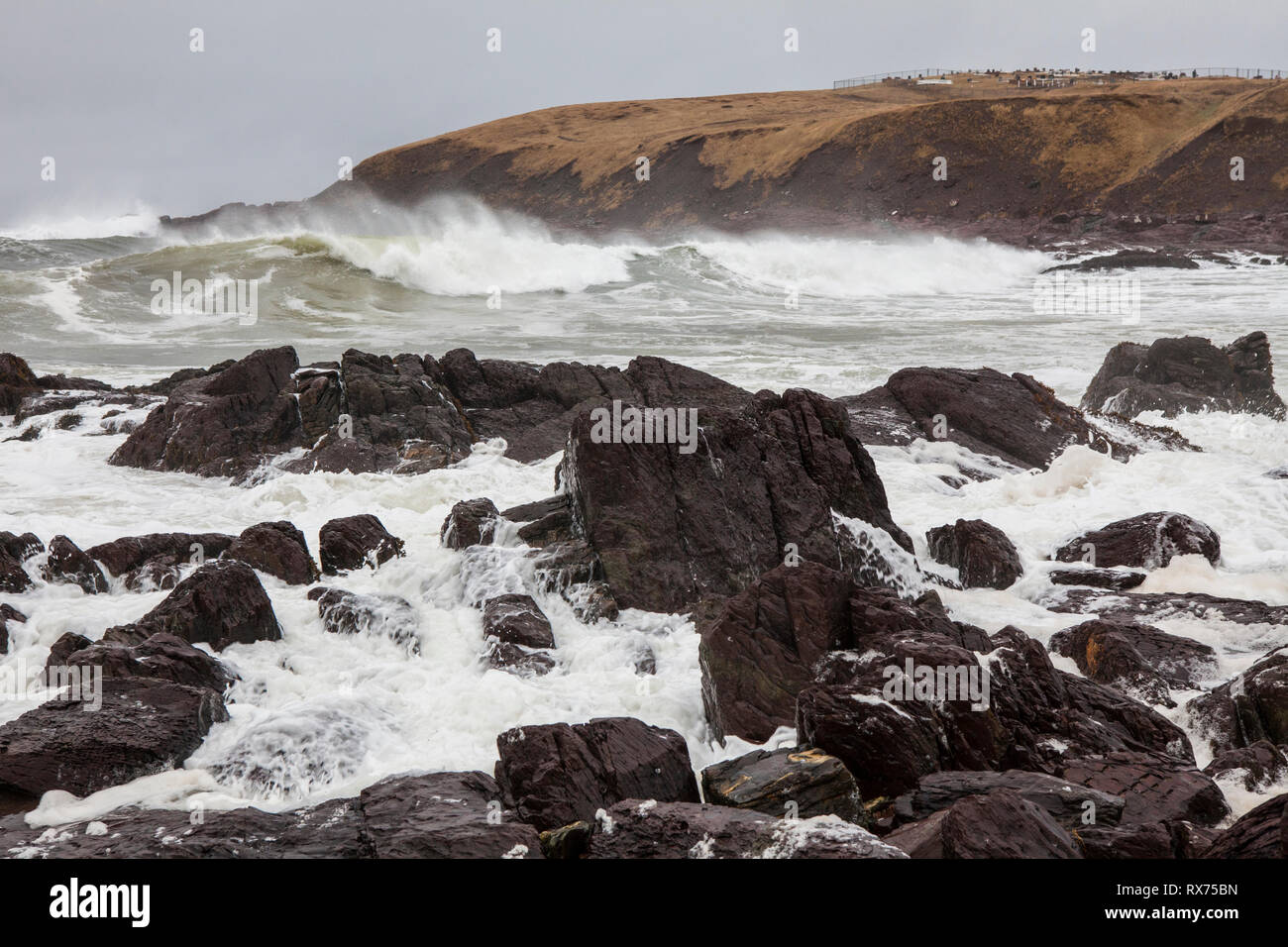 Raue Meer im Winter, Wellen und stürmischen Himmel, St. Bride's, Neufundland, Kanada Stockfoto