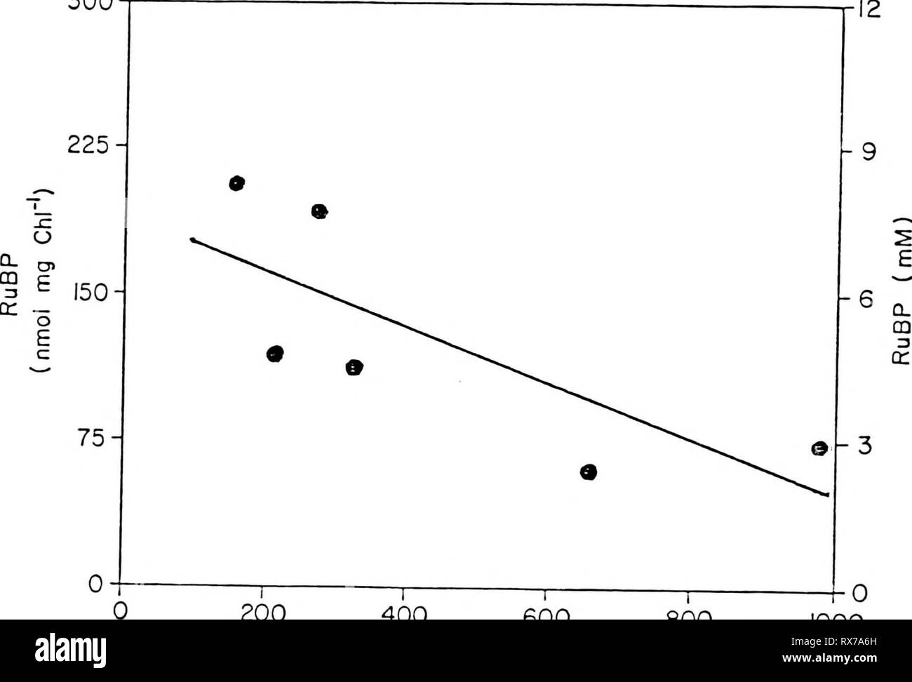 Auswirkungen von Kohlendioxid zu Auswirkungen von Kohlendioxid auf die Physiologie und Biochemie der Fotosynthese in Soja effectsofcarbond 00 camp Jahr: 1986 92 300 200 400 600 800 C02-Konzentration (jx C02 l l) 1000 Stockfoto