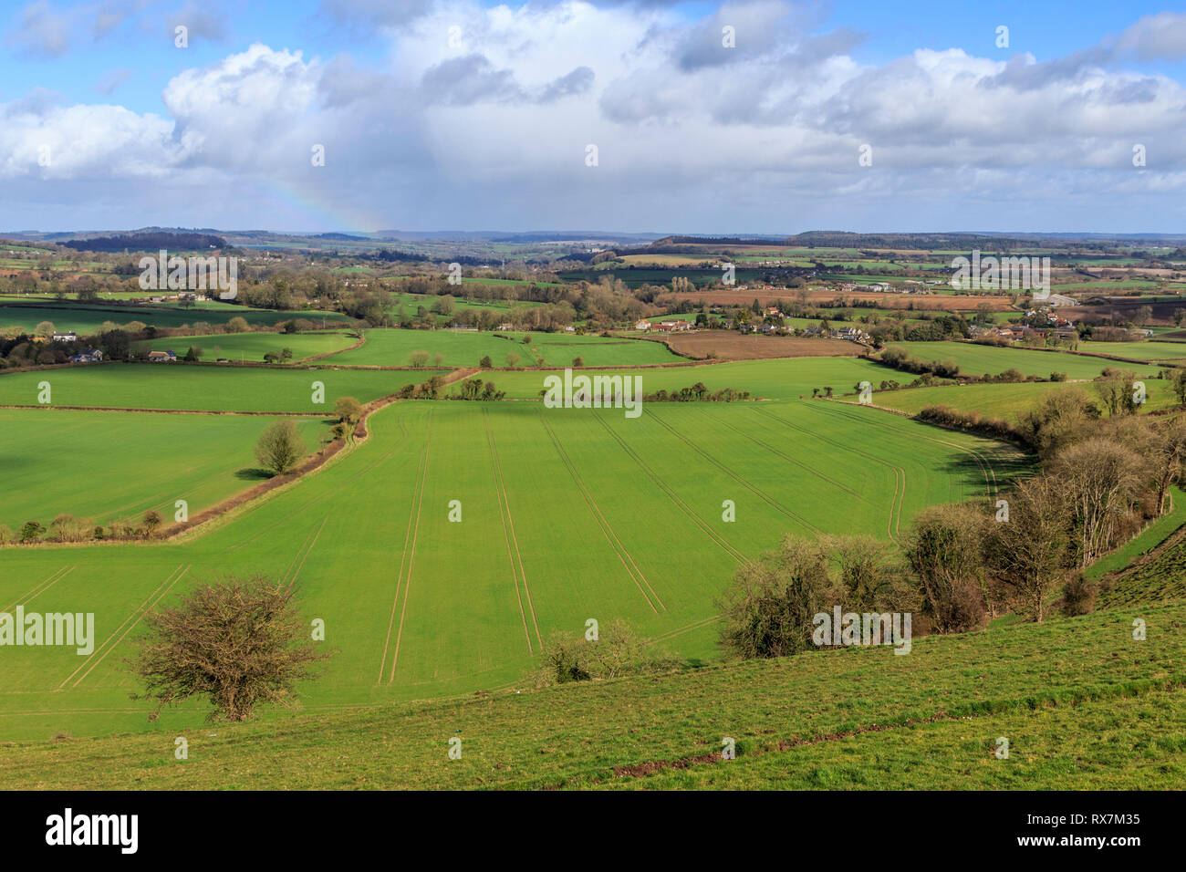 Cranborne Chase aonb, Dorset, England, UK, gb Stockfoto