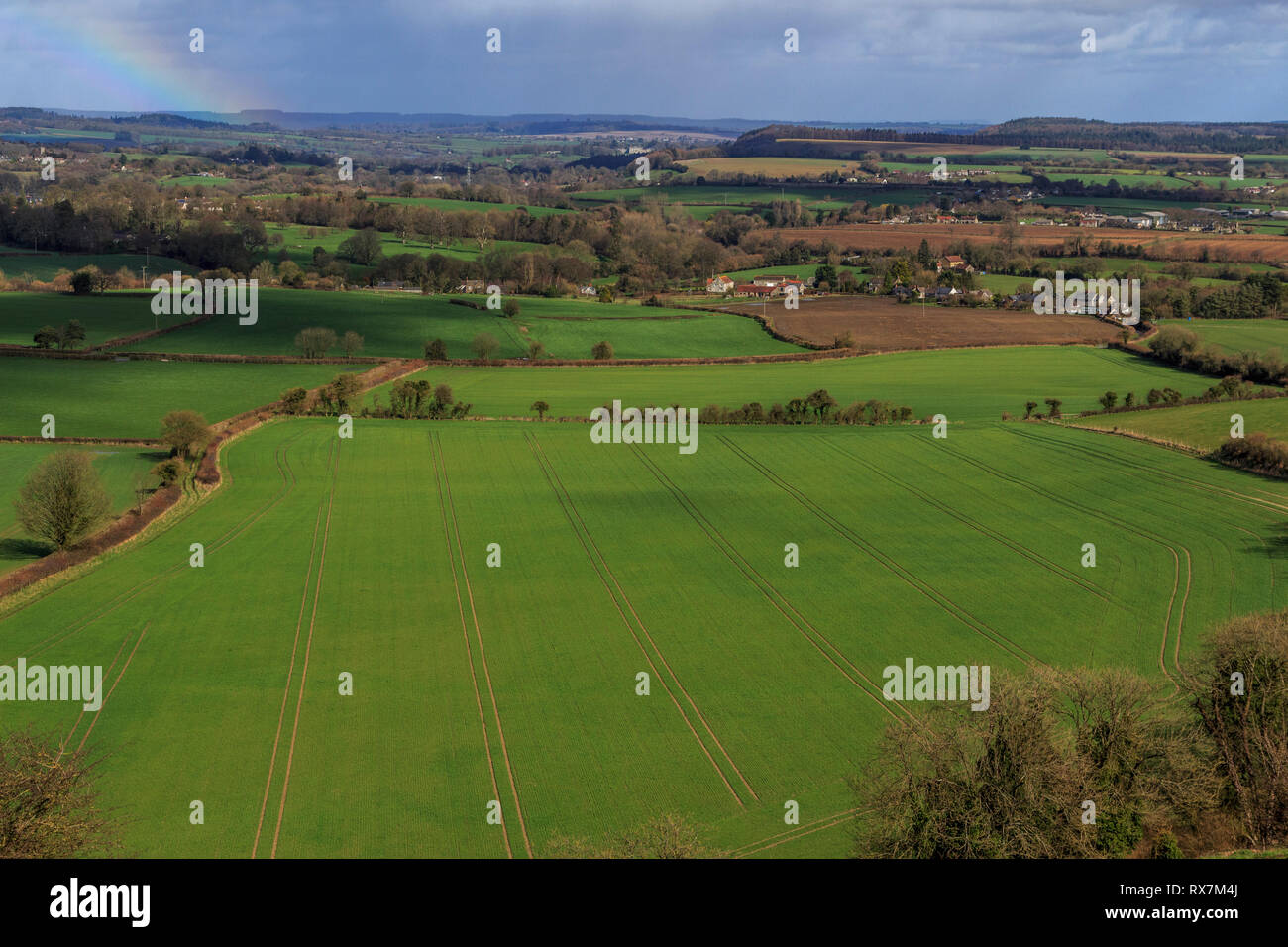 Cranborne Chase aonb, Dorset, England, UK, gb Stockfoto