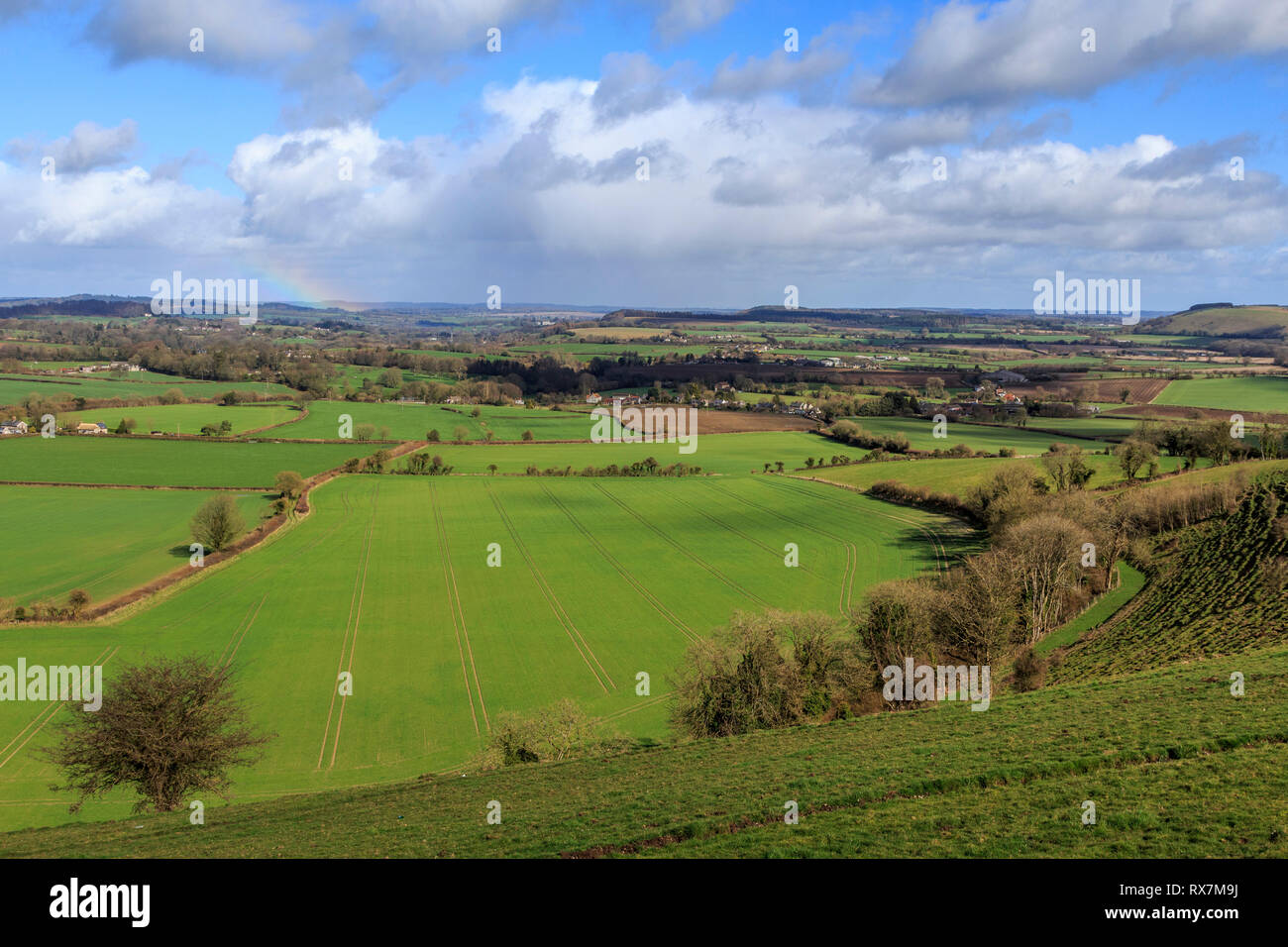 Cranborne Chase aonb, Dorset, England, UK, gb Stockfoto