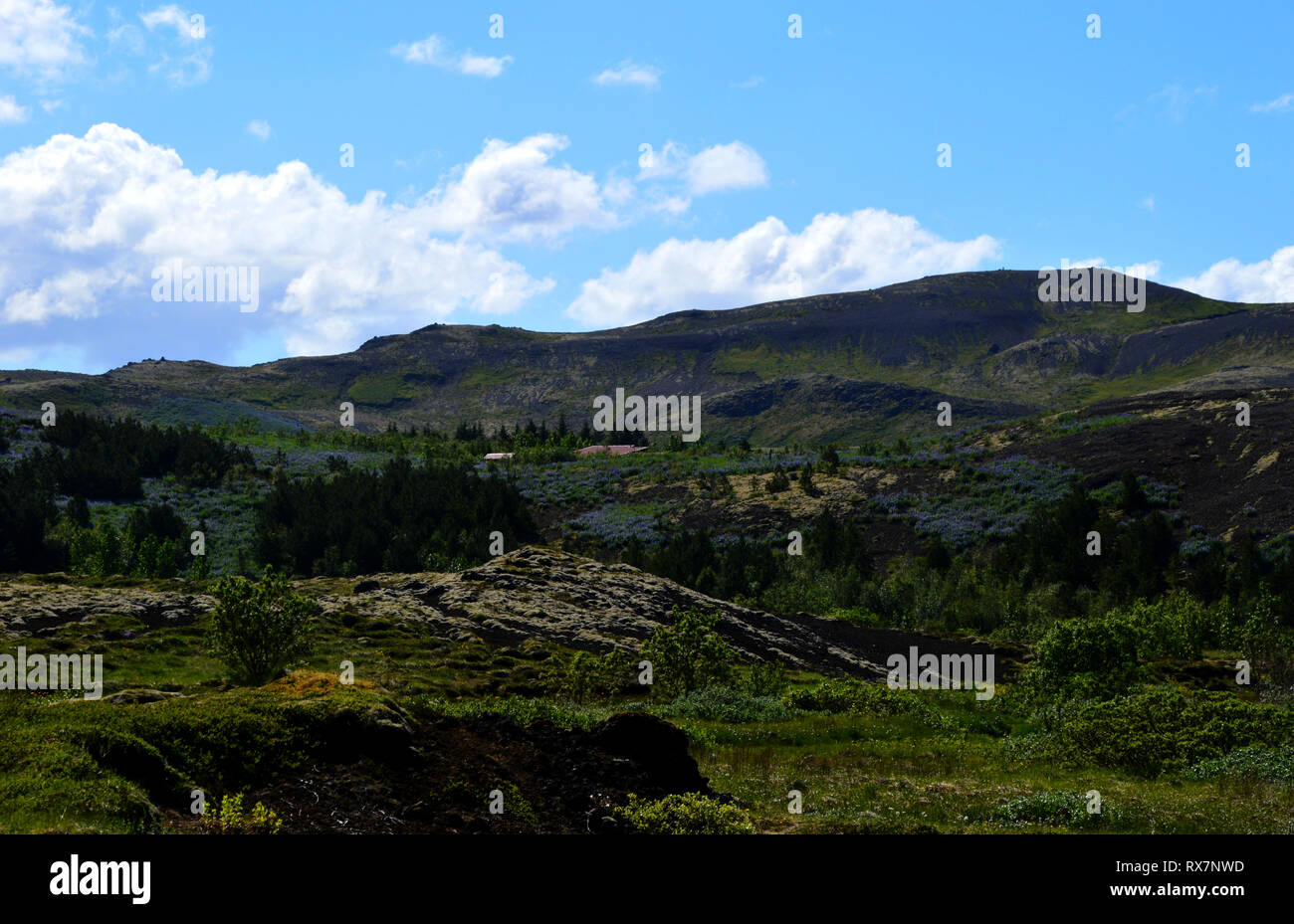 Landschaft außerhalb von Reykjavik, Island. Stockfoto