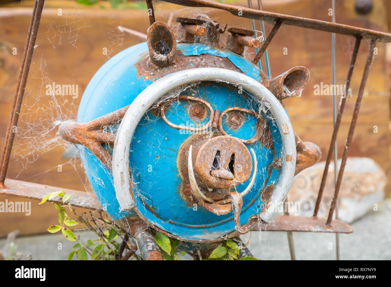 Schweinegesicht Stockfotos und -bilder Kaufen - Alamy