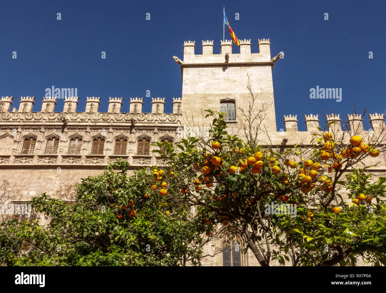 Seidenbörse Valencia La Lonja de la Seda, Plaza de Mercat in der Altstadt von Valencia Spanien Orangenbaum UNESCO-Stätte Stockfoto