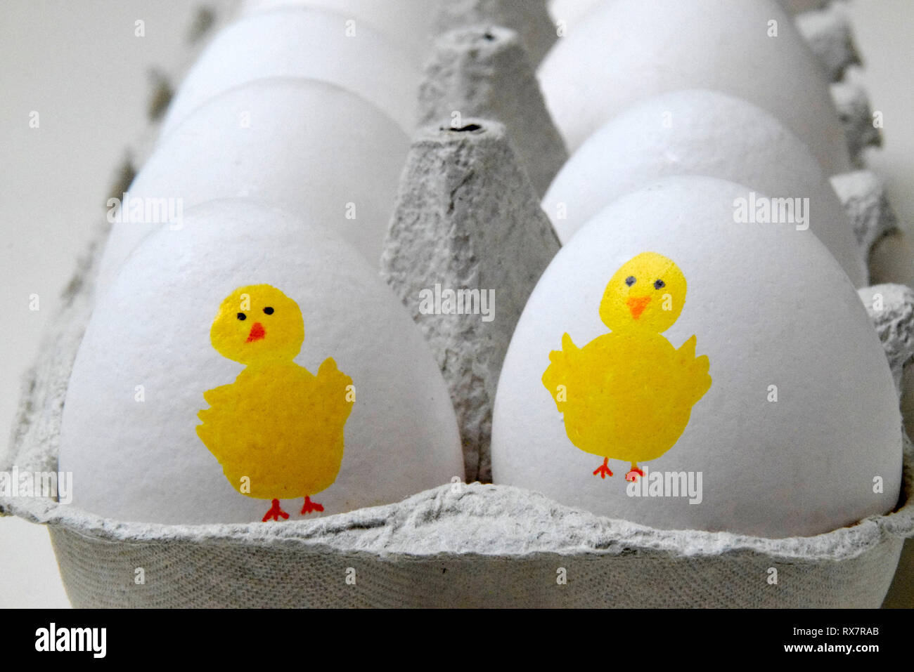 Gelb Ostern Huhn auf weiße Eier an der Vorderseite eine Schachtel Eier bemalt Stockfoto