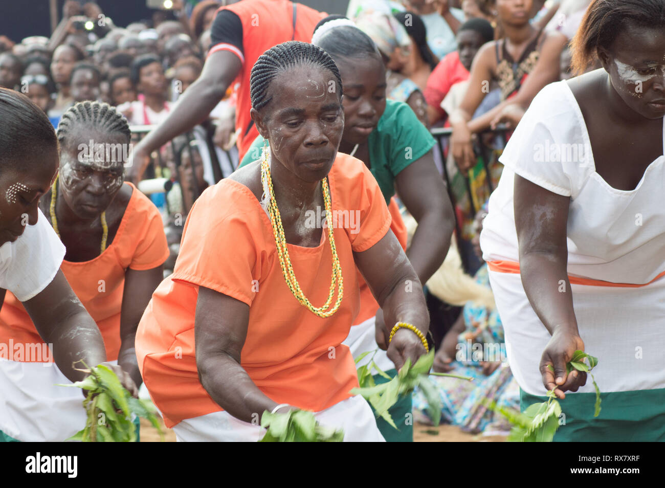 Bassam, Côte d'Ivoire - November 7, 2015: alte Frauen in der Farbe der Ivorischen Flagge gekleidet, führen Sie Tanzschritte mit Blättern in der Hand Stockfoto