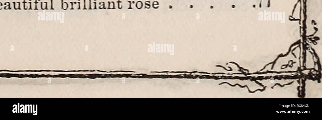 E Fred Washburn's Amateur Kultivator E. Fred Washburn's Amateur kultivator Leitfaden für die Blume &; Küche Garten für 1880 efredwashburnsam 1880 waschen Jahr: 1880. John Bull. Licht - Schwefel weiß. Besten weißen für Floristen 15 T.e Tizian. Bright Scarlet, sehr eflPective, .50 Lord Byron. Bright Scarlet, rein weissen Kehle 15 Louis Van Houtte. Strahlend rot. . .10 Mirabilis. Fein hell-rot .20 Mazeppa Orange Rot, gestreift weiß. .15 Meteor. Hell dunkel rosa, rein weissen Kehle 30 Meyerbeer. Brillante Scarlet, geflammt ver-milion, amaranth Spots 40 Neptun. Fein rot, gestreift Carmine. .10 Nestor. Stockfoto