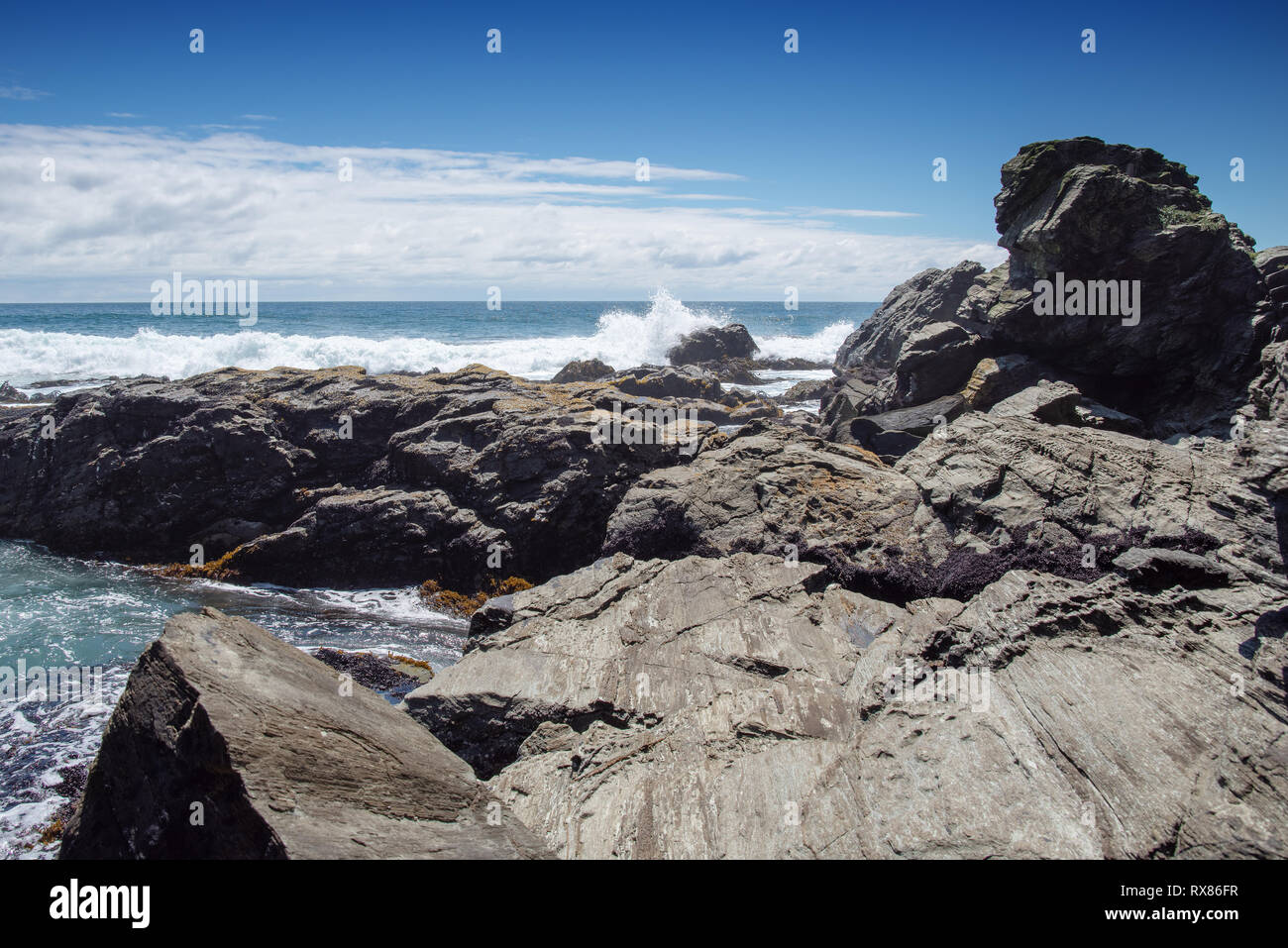 Felsenküste im Süden von Chile Stockfoto