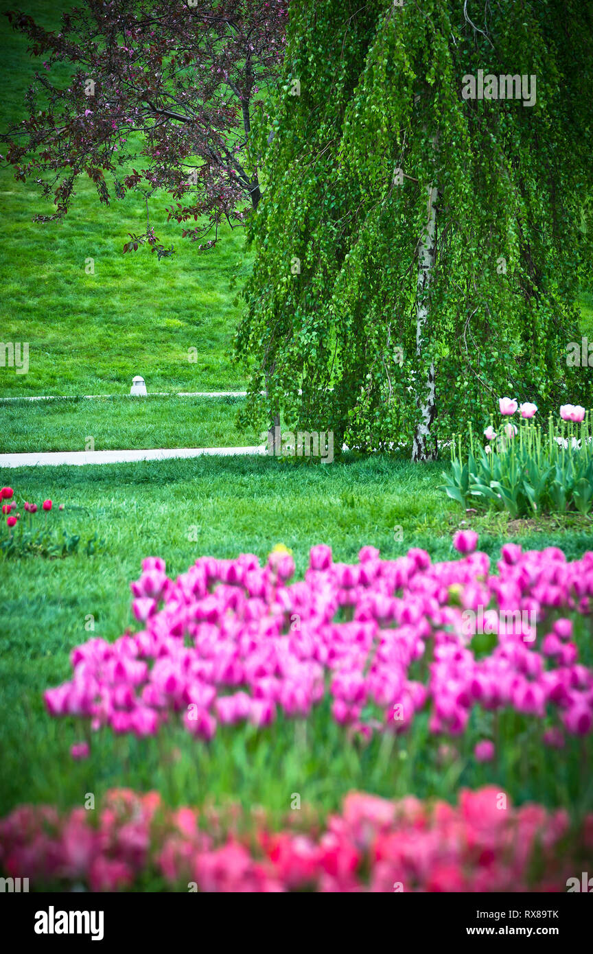 Foto der schönen Frühling Garten, vertikale Foto. Stockfoto