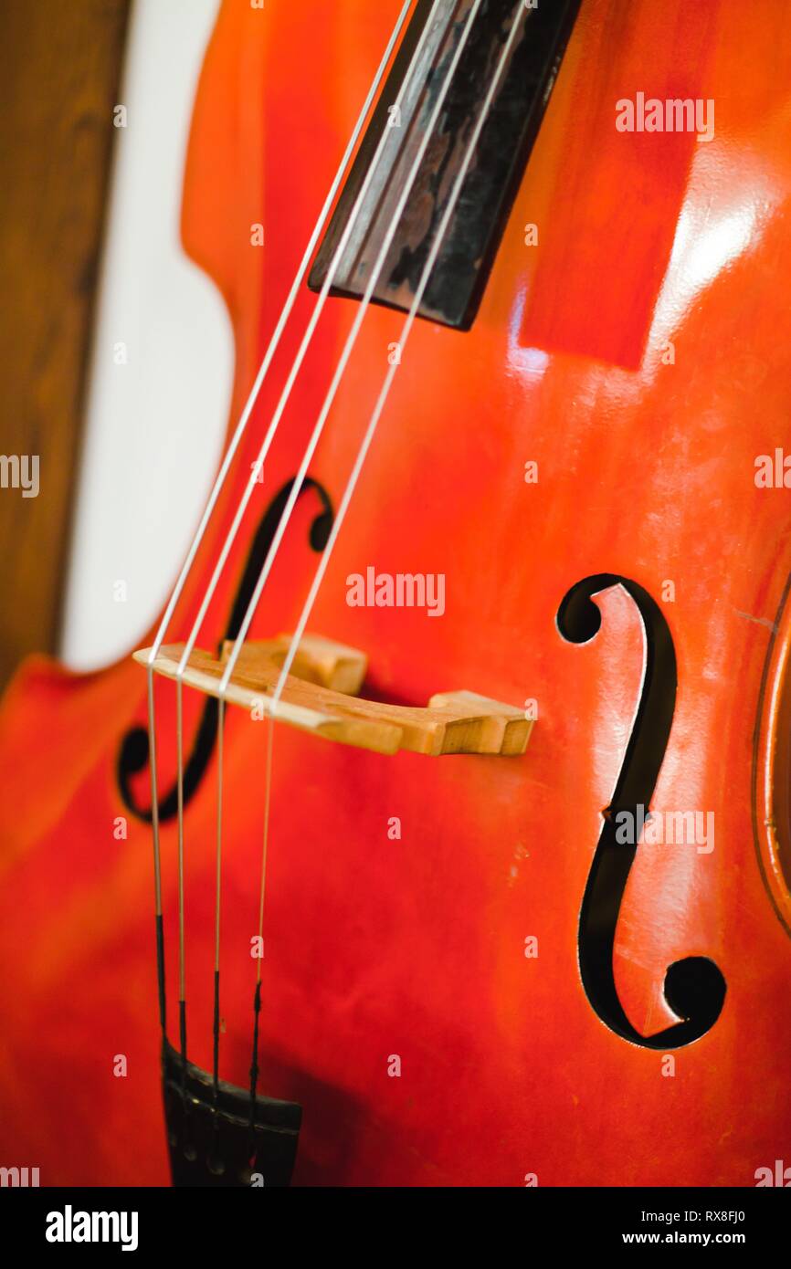 Detail des Contra Bass. F Löcher, Violine Ecken, C bount und Brücke mit Streichern. Stockfoto