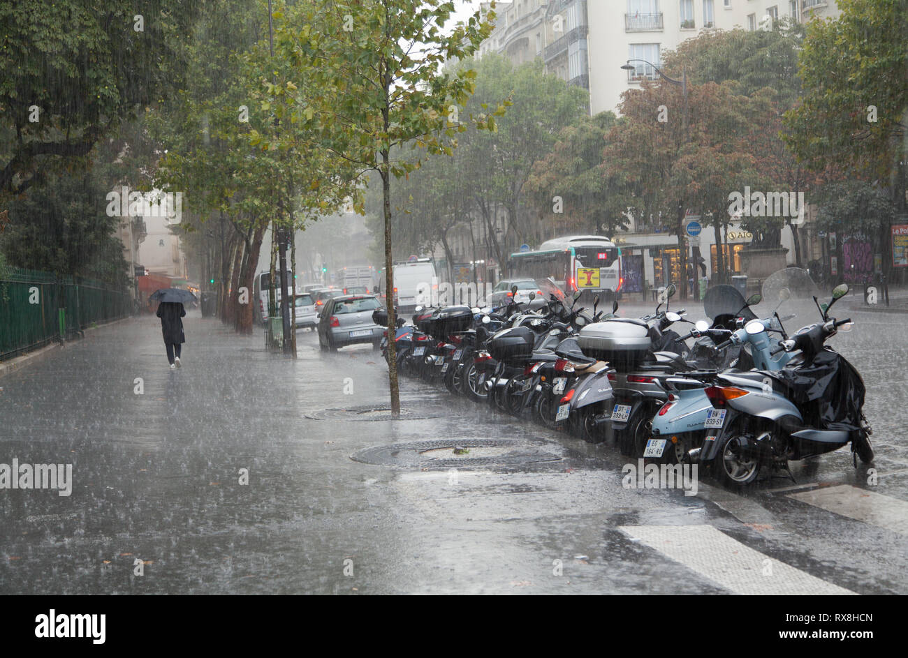 Boulevard Saint-Germain, Paris, Frankreich. Stockfoto