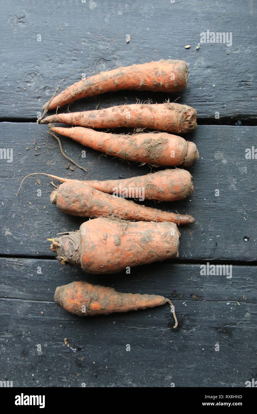 Karotte auf einem vintage Tabelle, gesundes Essen Idee Stockfoto