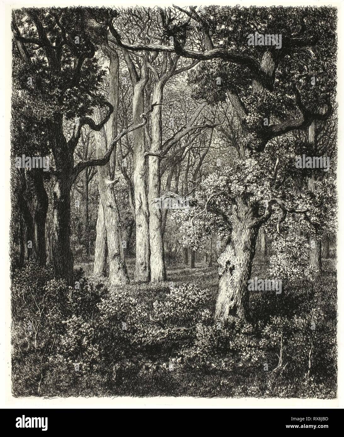 Alte Eichen an Bas Bréau. Adolphe Martial Potémont; Französisch, 1828-1883. Datum: 1860-1870. Abmessungen: 296 x 247 mm (Bild); 310 x 260 mm (Platte); 303 x 252 mm (Primary Support); 418 x 334 mm (sekundäre) unterstützen. Ätzen und Kaltnadelradierung auf Creme webte Chine auf weißen webte Karte gelegt. Herkunft: Frankreich. Museum: Das Chicago Art Institute. Stockfoto