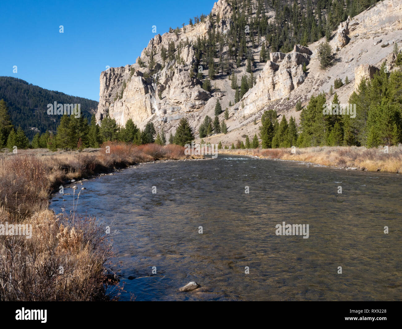 Die gallatin River fließt im Yellowstone National Park vorbei an Felsen und Herbst Vegetation. Stockfoto