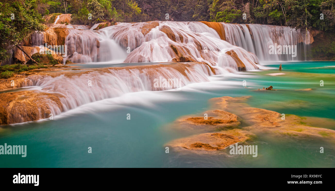 Agua Azul Kaskaden Wasserfälle Panorama im tropischen Regenwald des Staates Chiapas, Palenque, Mexiko. Stockfoto