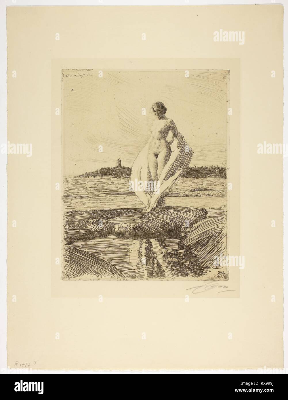 Der Schwan. Anders Zorn; Schwedisch, 1860-1920. Datum: 1915. Abmessungen: 248 x 198 mm (Bild/Platte); 430 x 325 mm (Blatt). Ätzen in Schwarz auf Creme Bütten. Herkunft: Schweden. Museum: Das Chicago Art Institute. Stockfoto