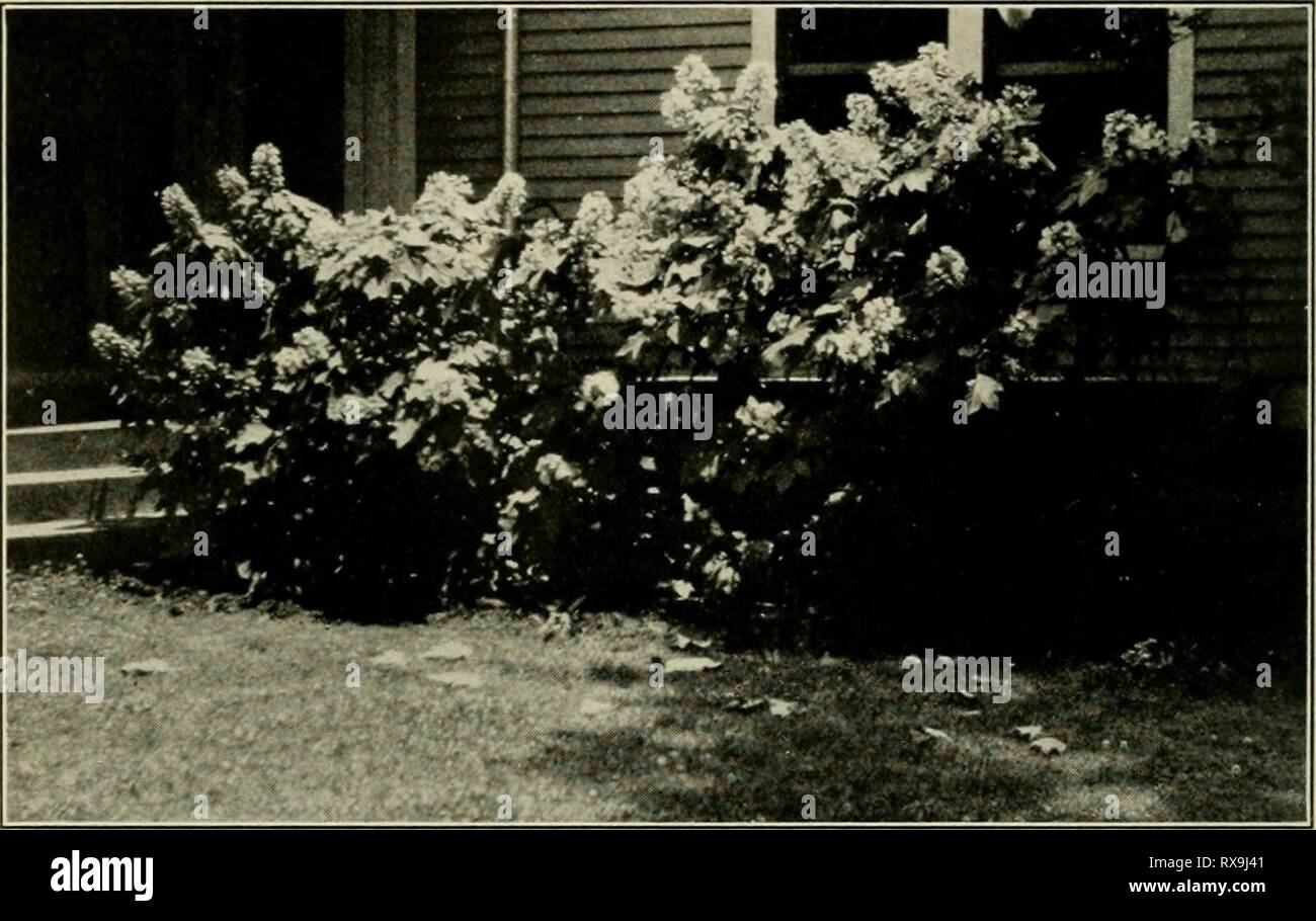 Tuscaloosa County Stockfotos Tuscaloosa County Bilder Alamy