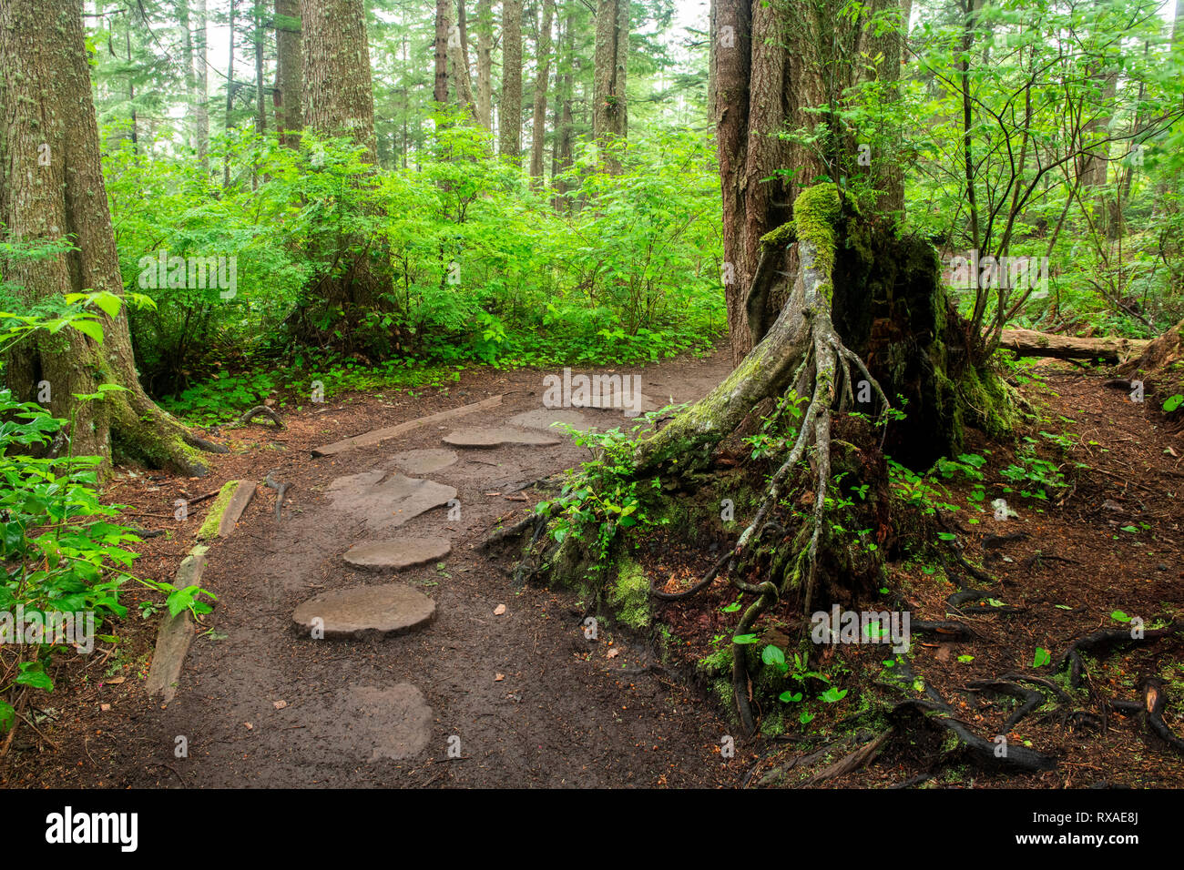 Cape Flattery, Pacific Northwest, Washington State, USA Stockfoto