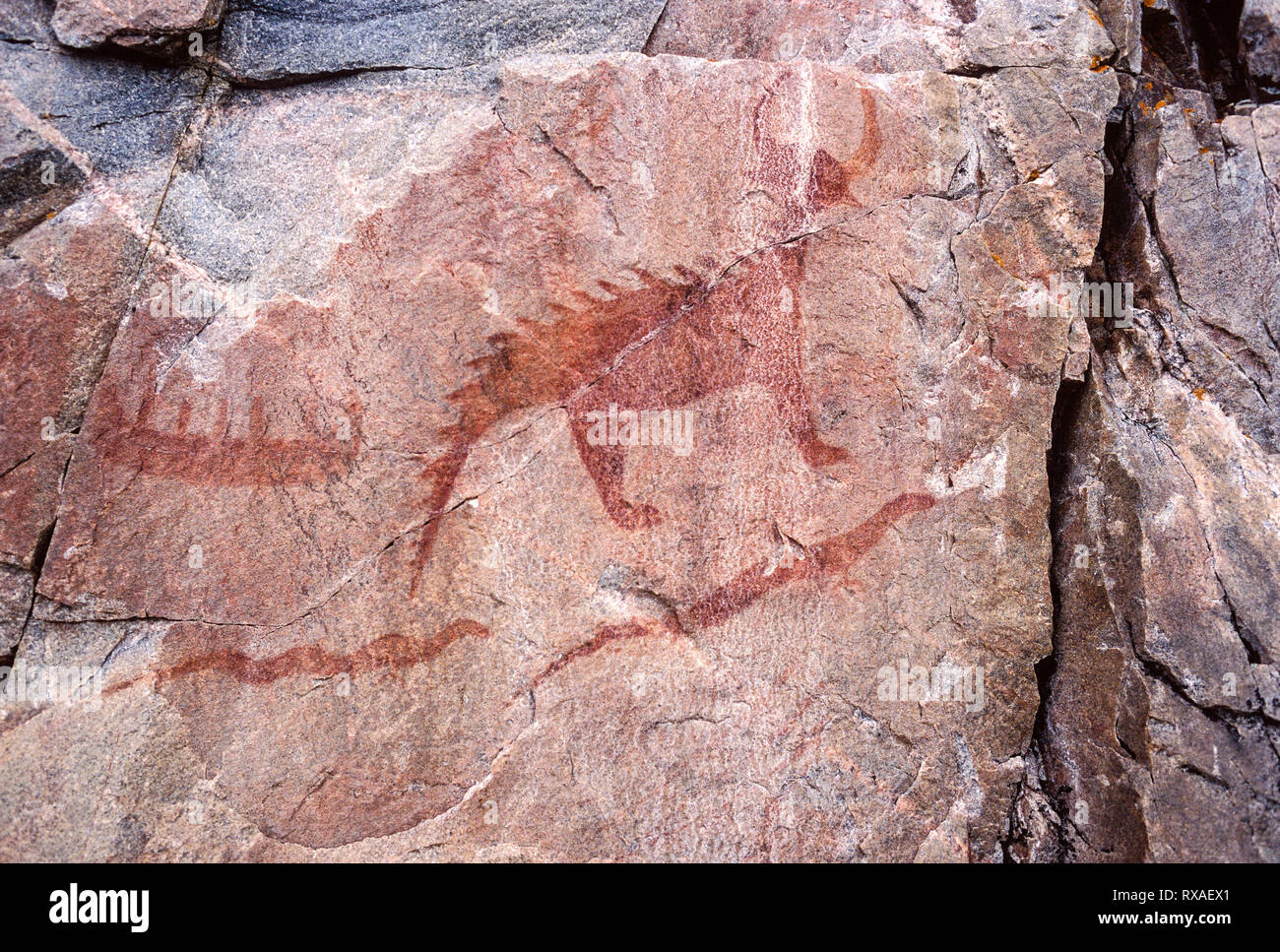 Indische Piktogramme, Lake Superior Provincial Park, Ontario, Kanada Stockfoto