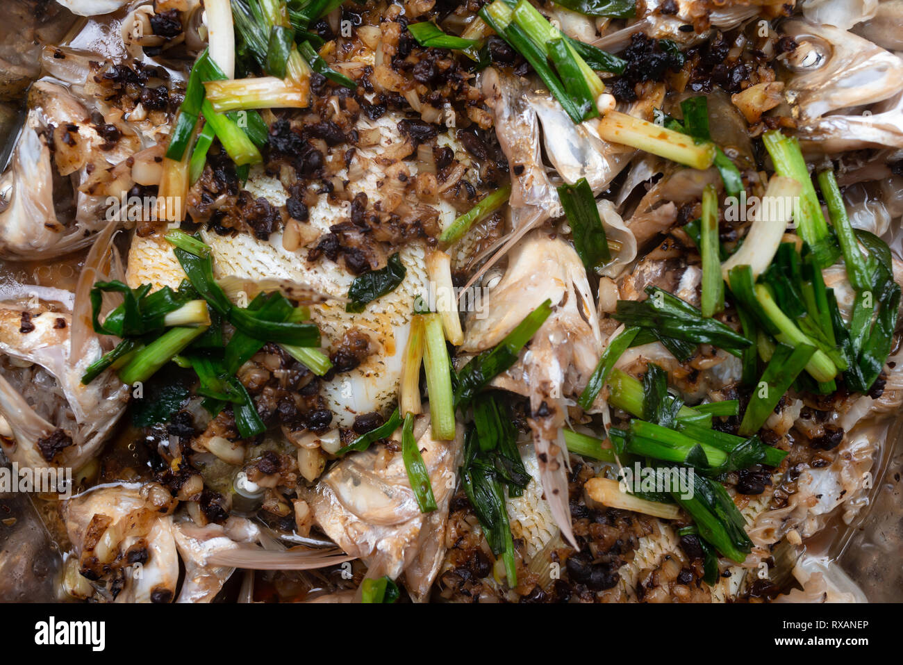 Traditionelles Chinesisch essen von gedünsteter Fisch Köpfe Stockfoto