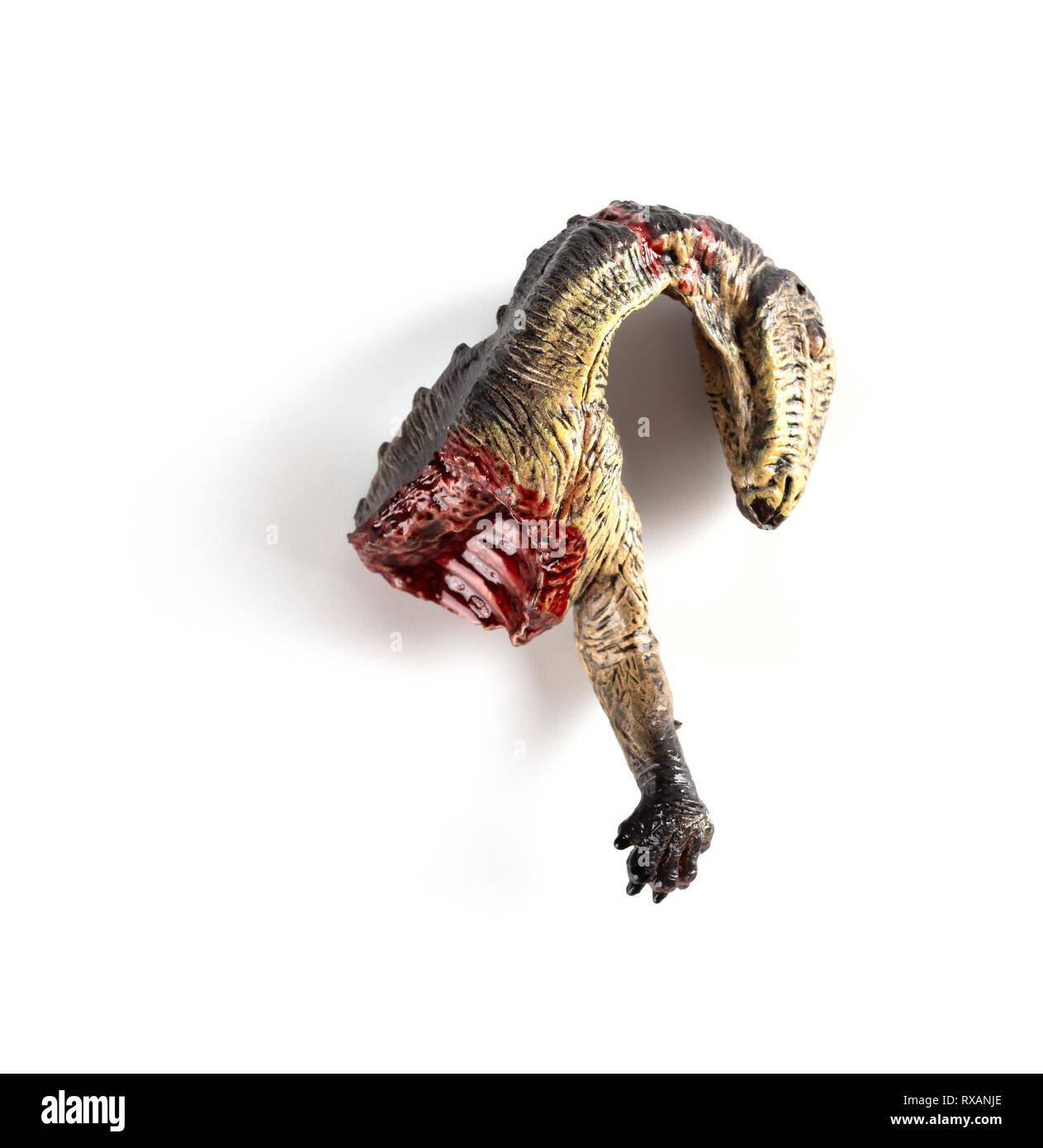 Dinosaurier toten Körper auf weißem Hintergrund Stockfoto