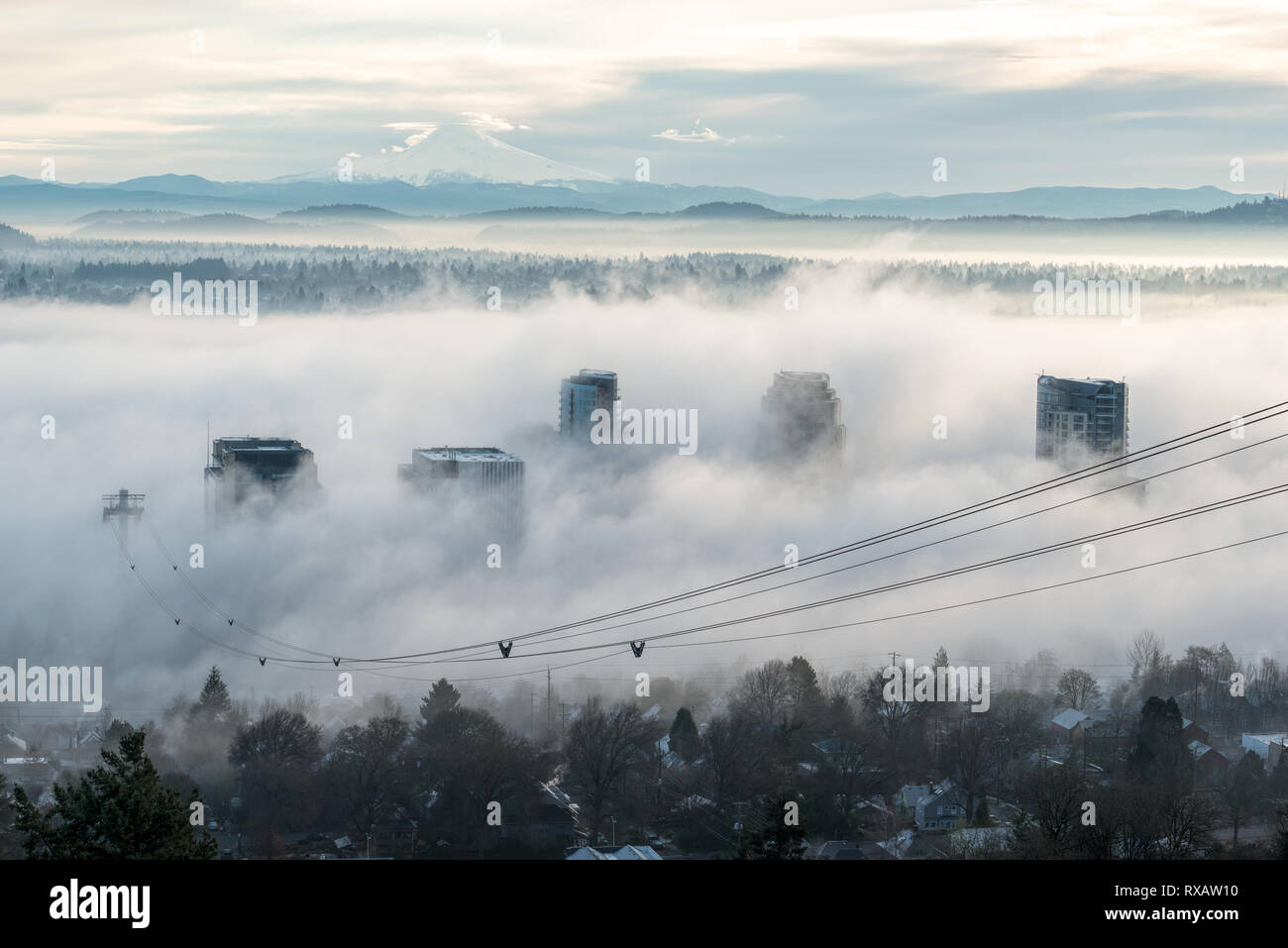 Hochhäuser, Nebel und aerial tram Kabel, Portland, Oregon. Mt. Haube ist im Hintergrund. Stockfoto