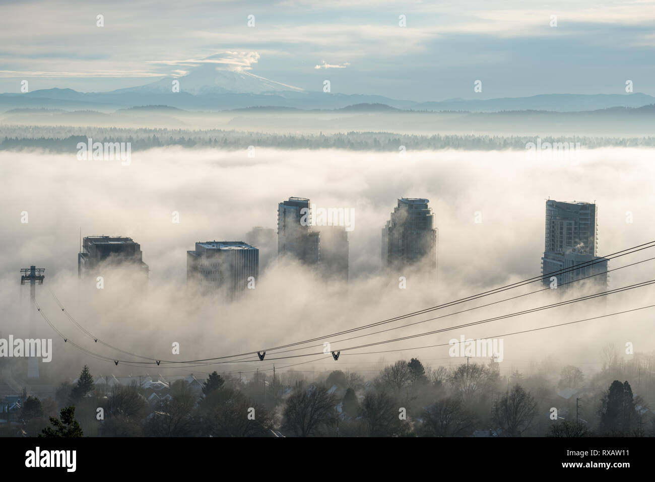 Hochhäuser, Nebel und aerial tram Kabel, Portland, Oregon. Mt. Haube ist im Hintergrund. Stockfoto
