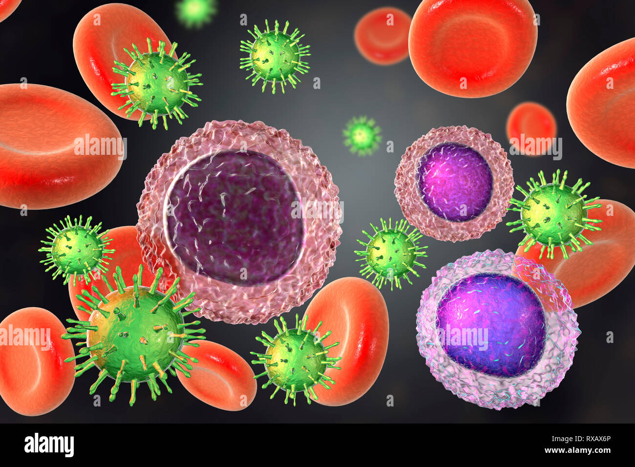 HIV-Infektion, Abbildung Stockfoto
