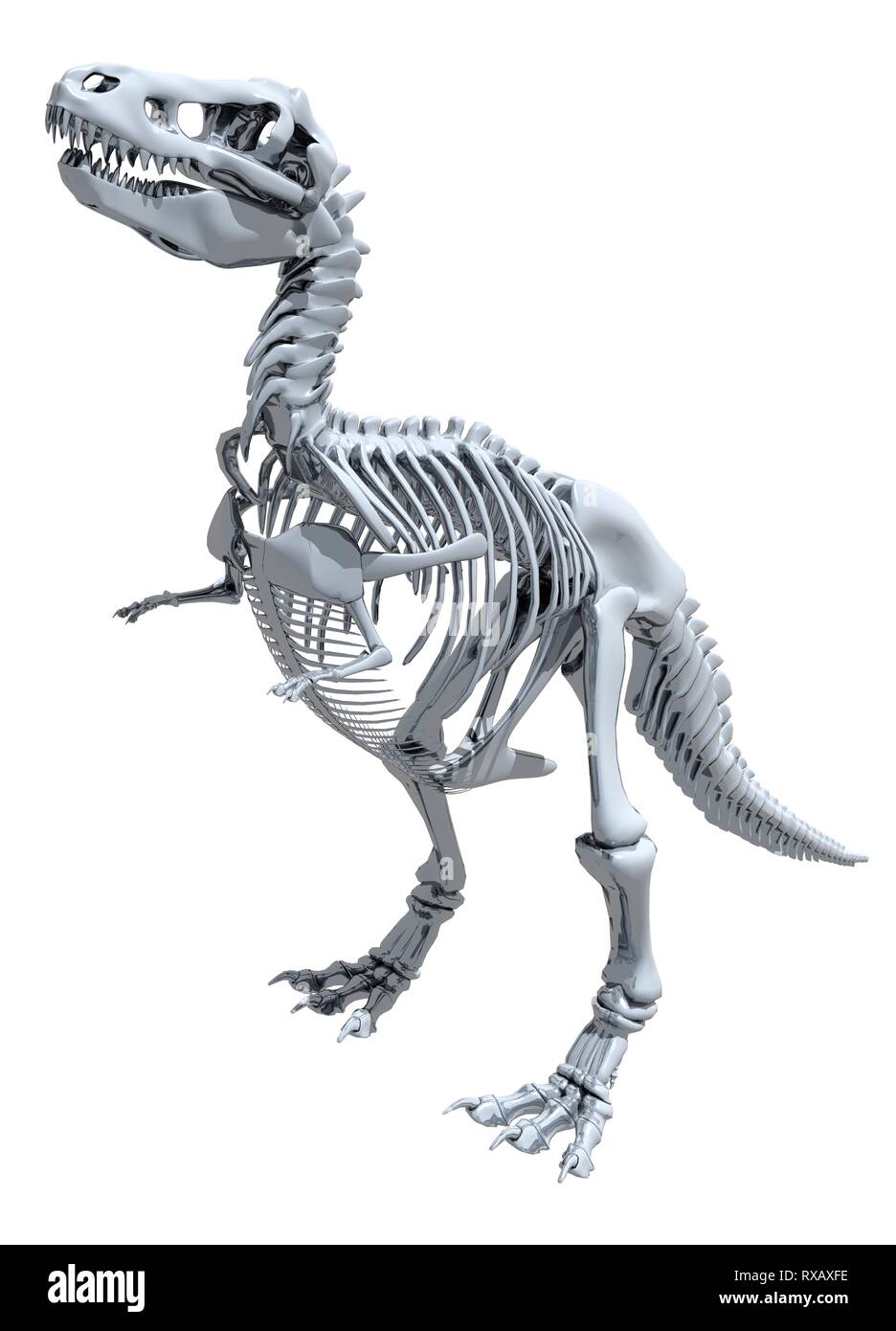 Tyrannosaurus rex Skelett, Abbildung Stockfoto