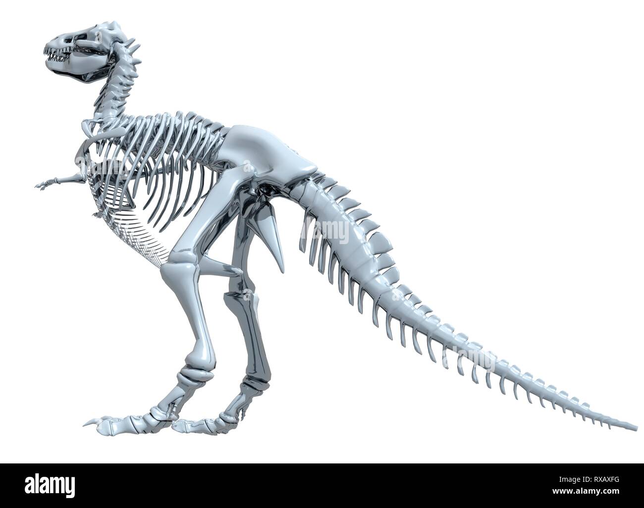 Tyrannosaurus rex Skelett, Abbildung Stockfoto