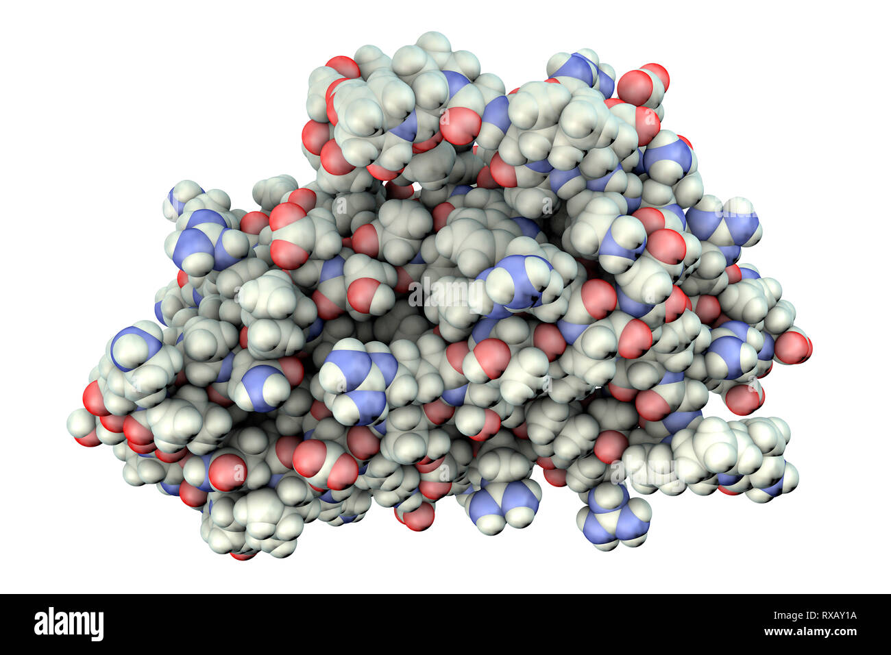 Hormon Erythropoetin Molekül, Abbildung Stockfoto