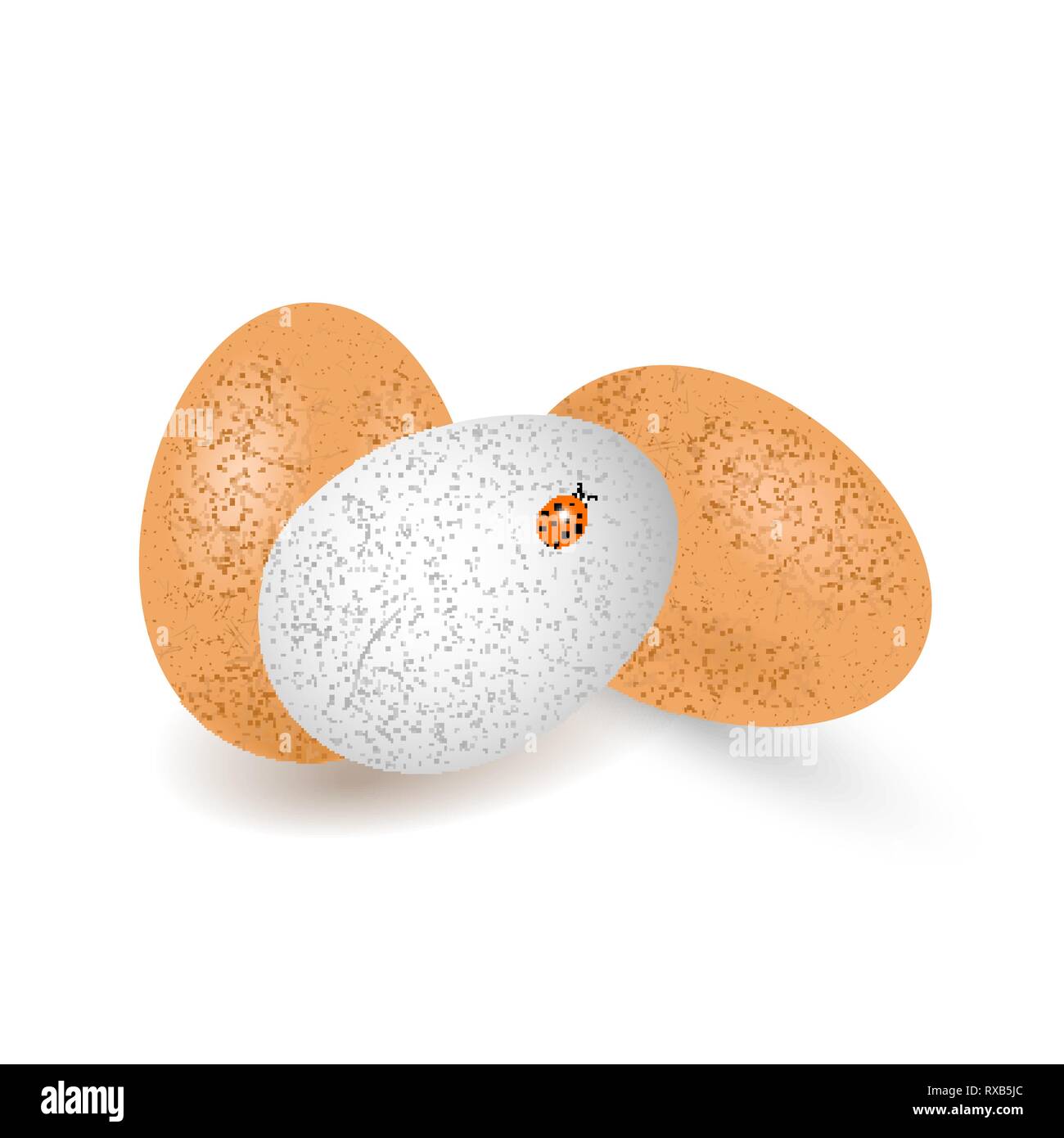 Zwei braune und weiße Eier Huhn mit Schatten, auf weißem Hintergrund. Marienkäfer auf weißem Ei. Vector Illustration Stock Vektor