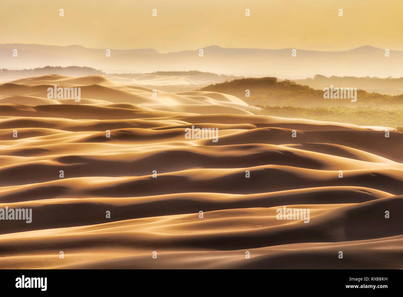 Gelbe staubigen Sonnenuntergang über endlose Wellen von Sanddünen am Stockton Beach auf australischen Pazifikküste - abstrakte Gegensatz Muster der natürlichen Landschaft. Stockfoto
