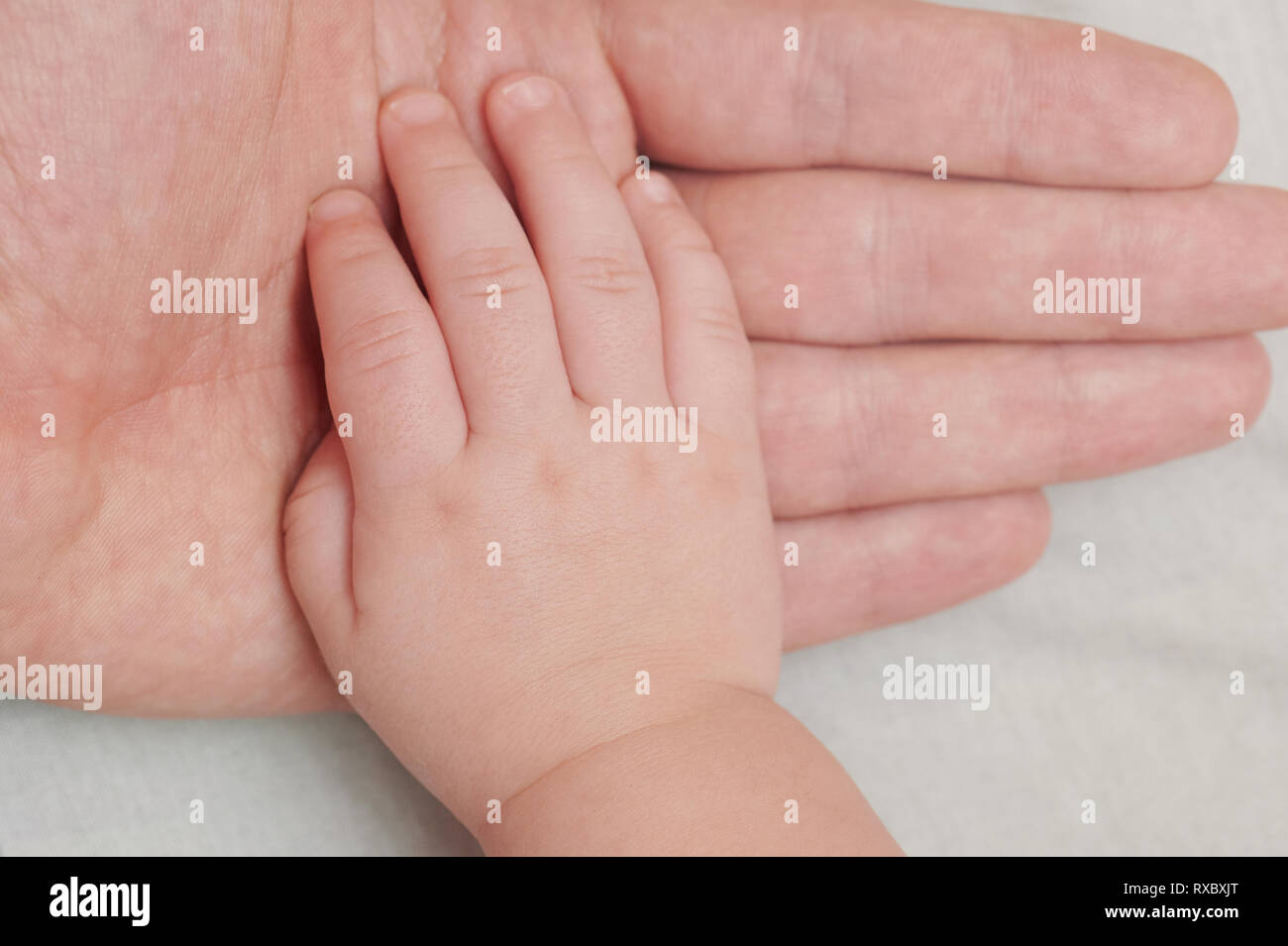 Baby Hand oben auf übergeordneten Palm über Ansicht schließen nach oben Stockfoto
