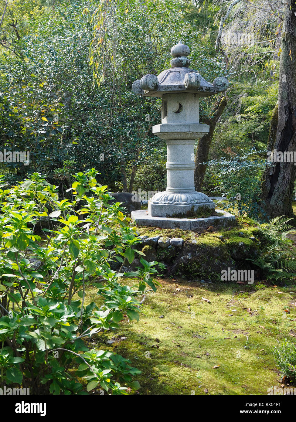 Traditionelle japanische Zen Garten Stockfoto