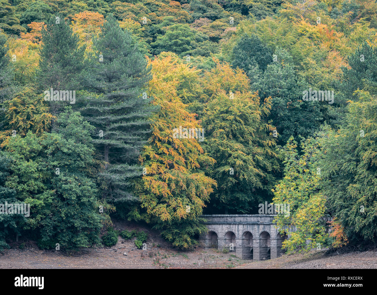 Steinerne Brücke versteckt unter hohen bunten Bäumen im Derwent Reservoir in den Peak District England Großbritannien Stockfoto