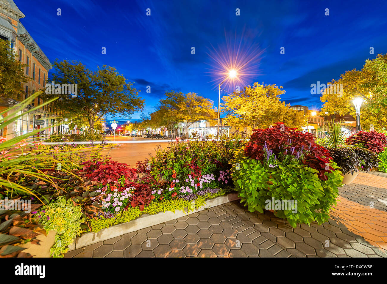 Altstadt Fort Collins an der blauen Stunde Stockfoto