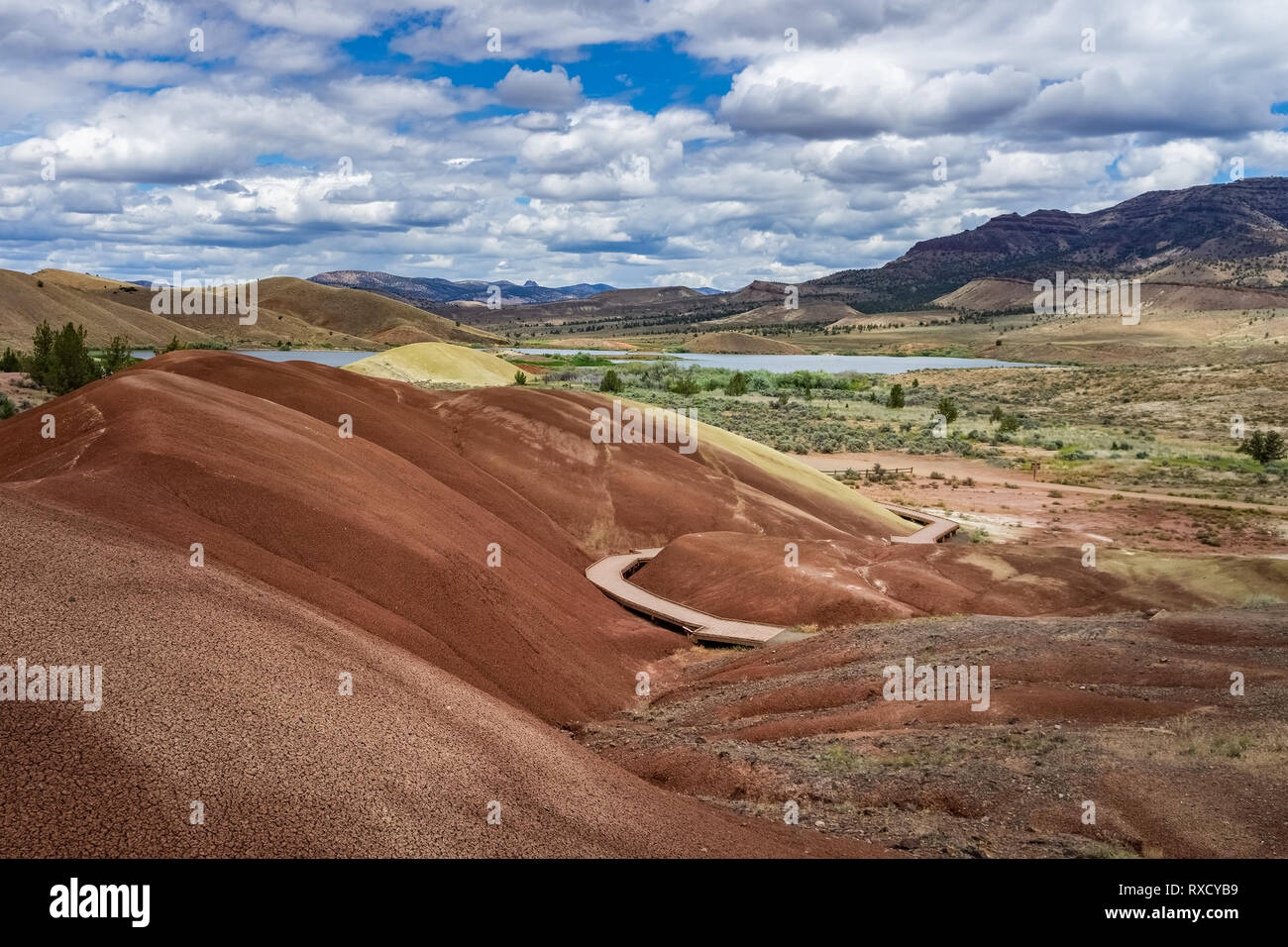 Sedimentäre badlands aus lackiertem Cove, Painted Hills, John Day Fossil Beds National Monument, Mitchell, Central Oregon Wüstenlandschaft oder Landschaft, USA Stockfoto