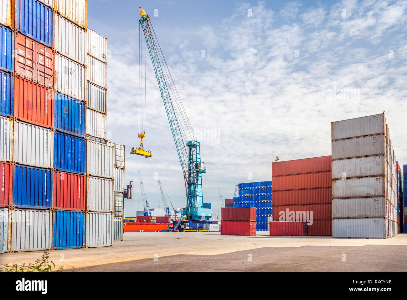 Kran am Containerhafen, Rotterdam, Niederlande Stockfoto