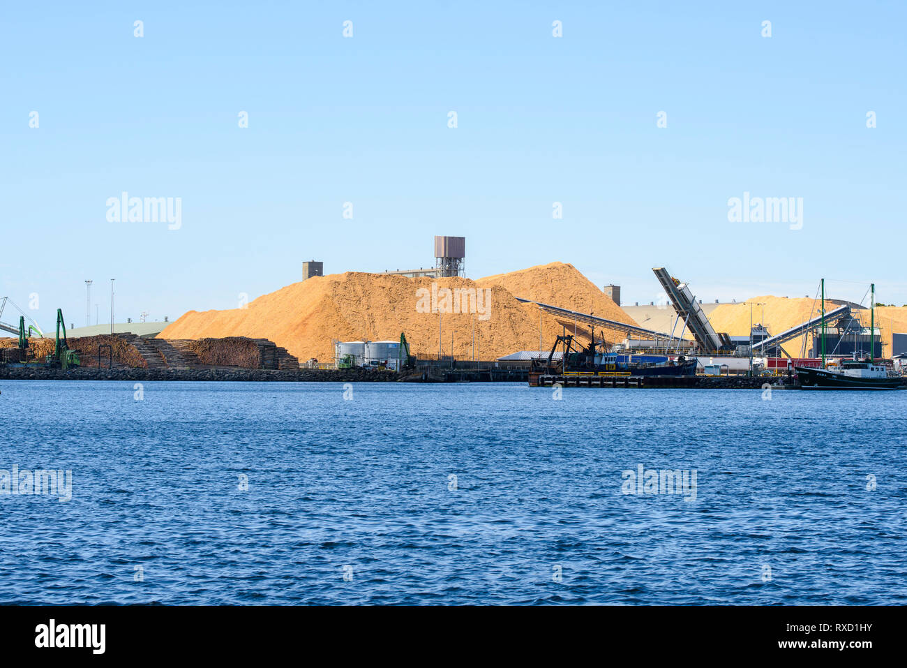 Hackschnitzel stapelten sich bereit für den Export auf den Docks an der Portland Victoria Australien geladen werden Stockfoto