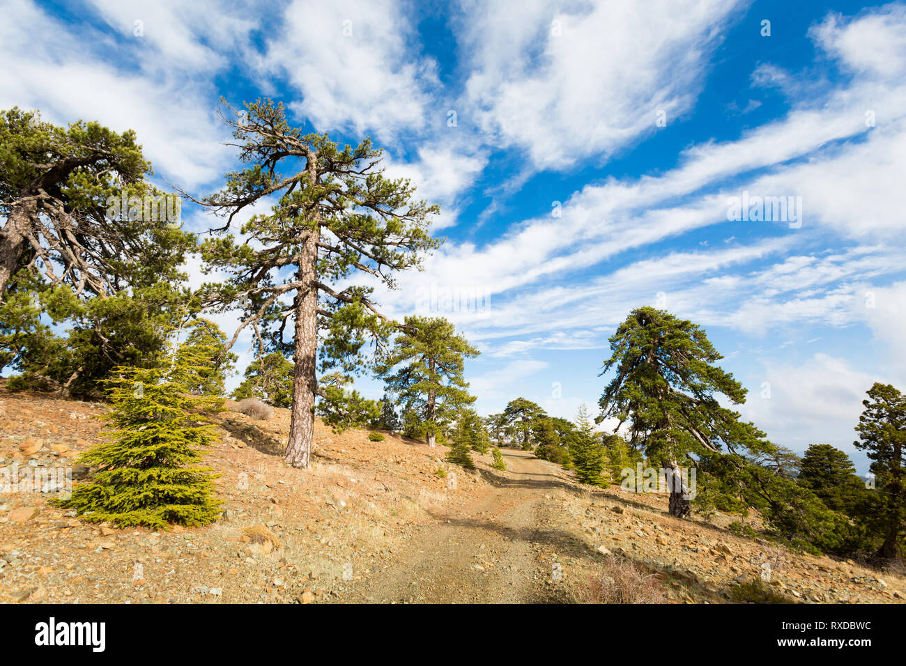 Schönen Olymp während des Trekking. Landschaft im Troodos-Gebirge auf Zypern Insel genommen. Stockfoto