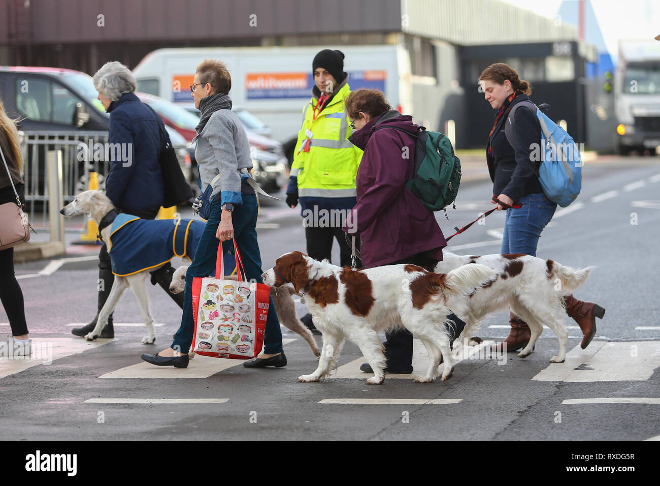 Birmingham, Großbritannien. 9. März, 2019. Hunde mit ihren Besitzern an Tag drei der Crufts, der weltweit größten Hundeausstellung, im NEC Birmingham. Peter Lopeman/Alamy leben Nachrichten Stockfoto