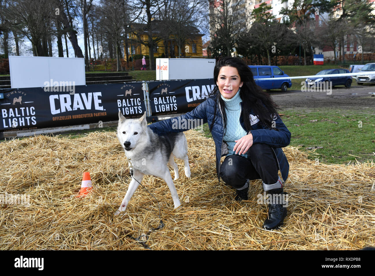 Heringsdorf, Deutschland. 09 Mär, 2019. Die Schauspielerin Mariella Ahrens Knuddel einen Husky an der Ziellinie an der "Baltic Lights" auf der Insel Usedom. Da der Schnee in Deutschlands nördlichsten Schlittenhunderennen fehlte, den rund 400 Schlittenhunde nicht Schlitten ziehen, aber Autos mit Ballon Reifen. Foto: Jens Kalaene/dpa/Alamy leben Nachrichten Stockfoto