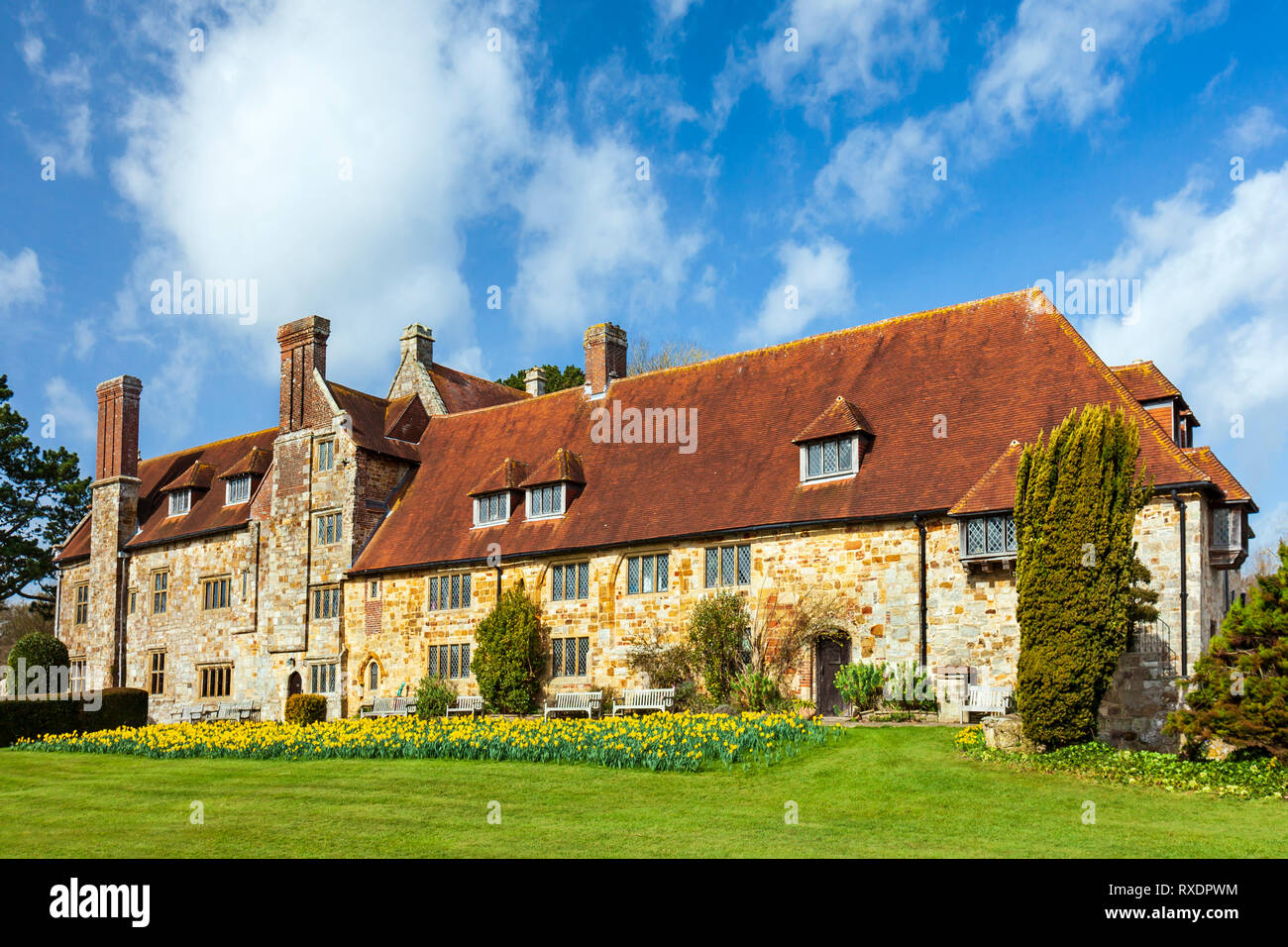 Anzeige von Narzissen, Michelham Priory. Stockfoto