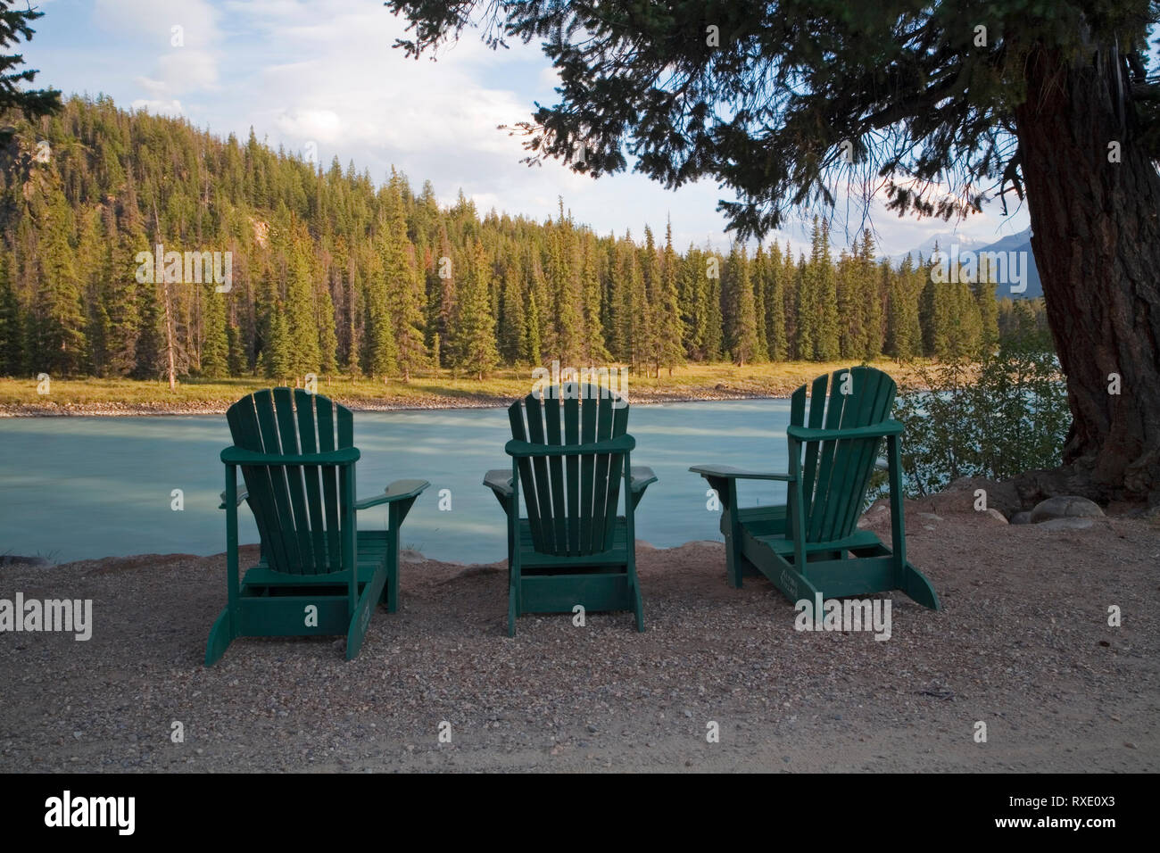 Drei Adirondack Stuhl, neben dem Athabasca River, Jasper National Park, Alberta, Kanada. Stockfoto